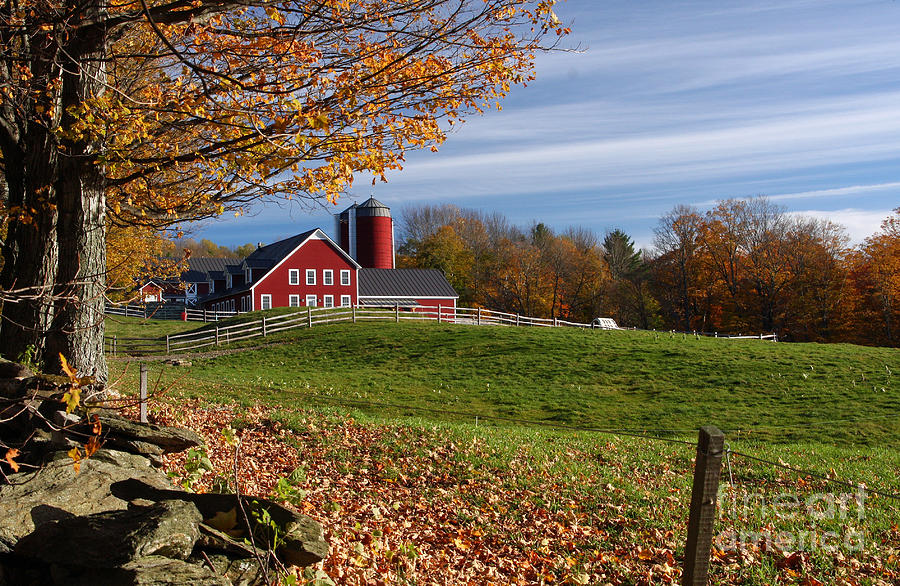 Spring Brook Farm Vermont Photograph by Butch Lombardi