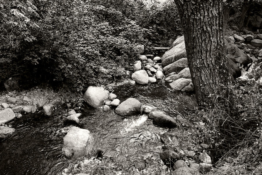 Spring Creek II Photograph by Kathleen Grace