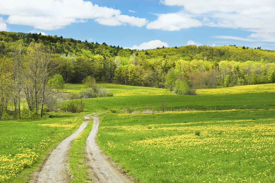 Spring Farm Landscape With Dirt Road In Maine Photograph by Keith Webber Jr