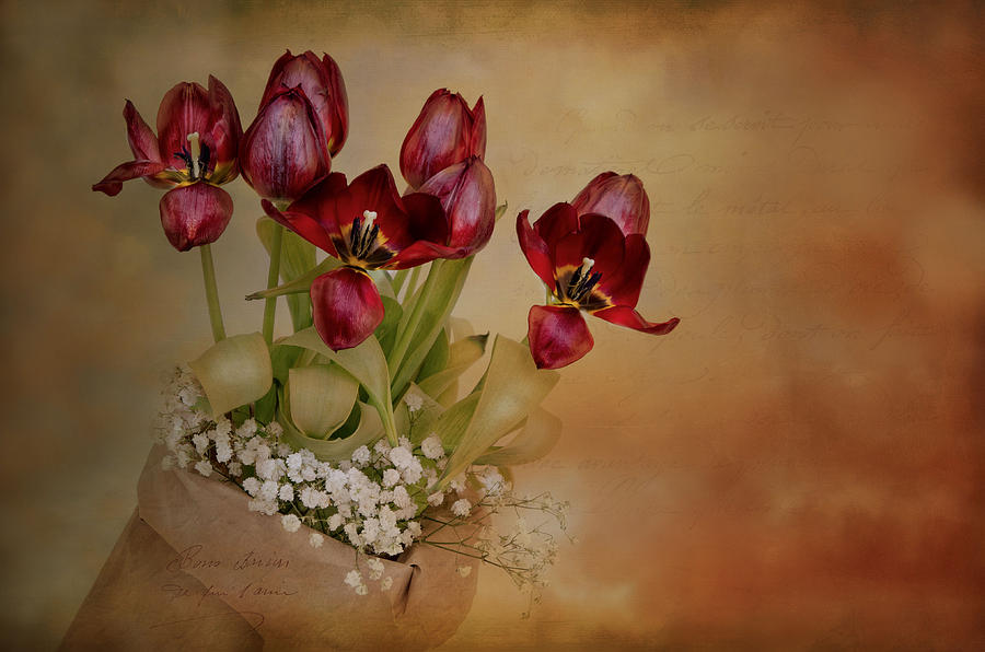 Tulip Photograph - Spring Fever by Robin-Lee Vieira