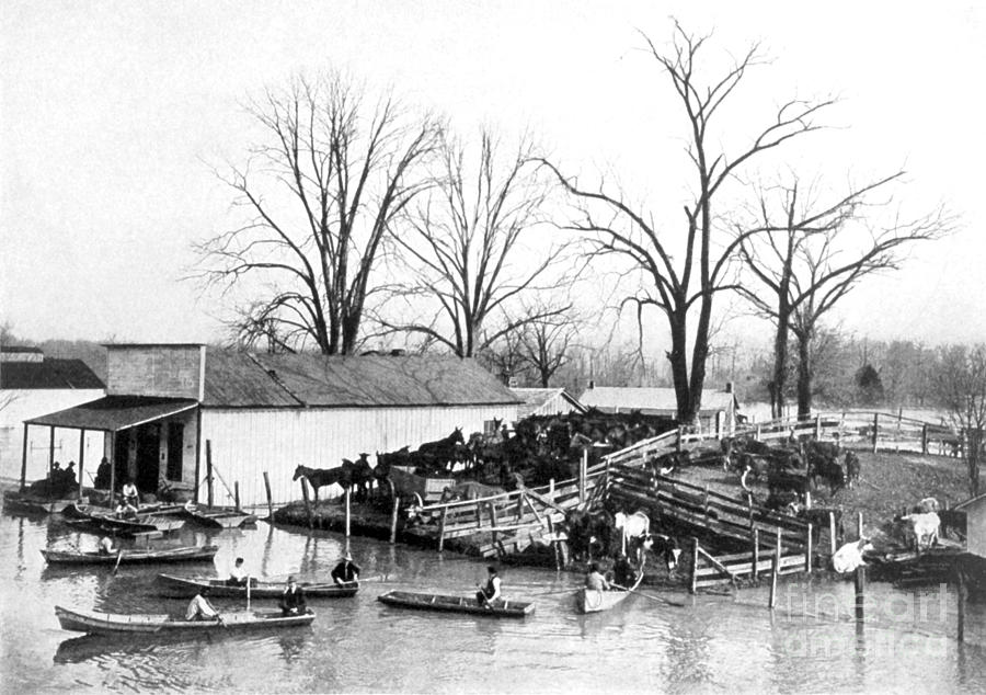Spring Flood, 1903 Photograph by Science Source