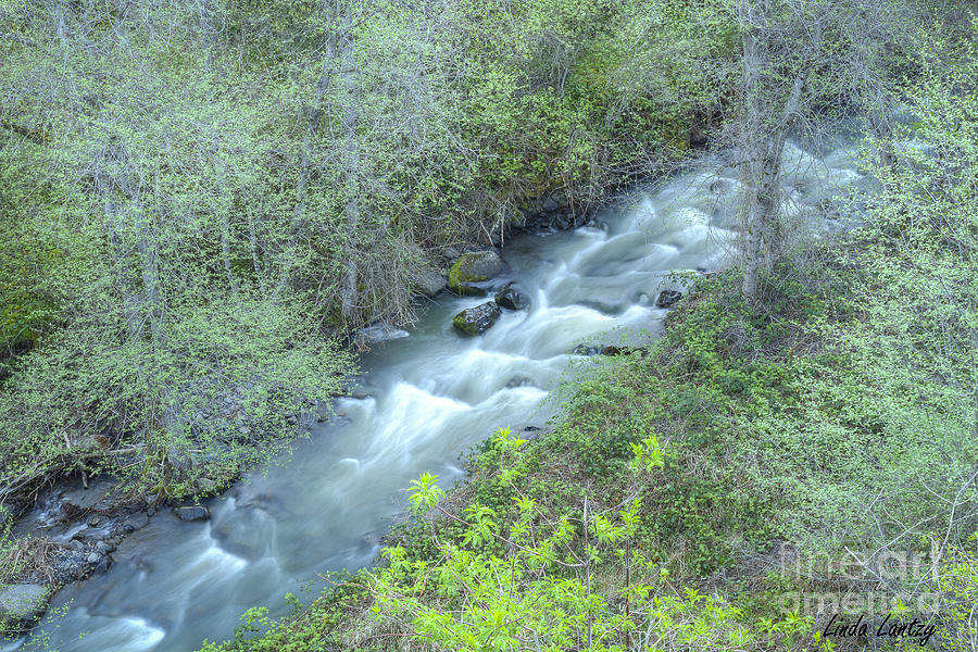 Nature Photograph - Spring Flow by Idaho Scenic Images Linda Lantzy
