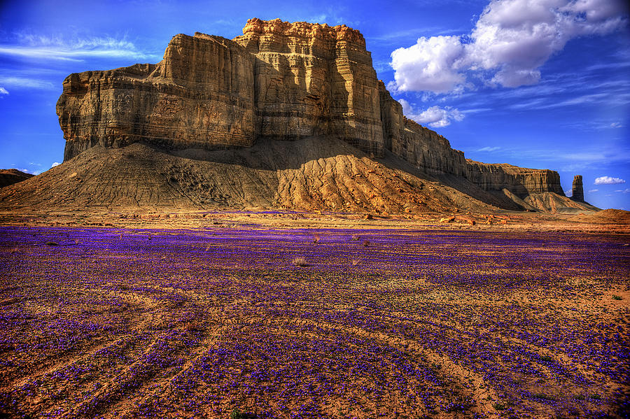 Spring Formation Photograph by Carolyn Rauh