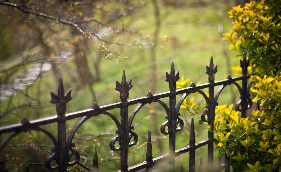 Spring Gate Photograph by Mike Reid