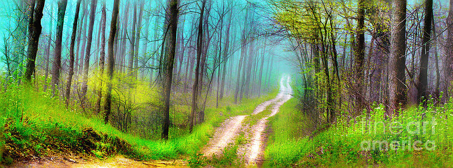 Spring green dirt road Photograph by Gina Signore