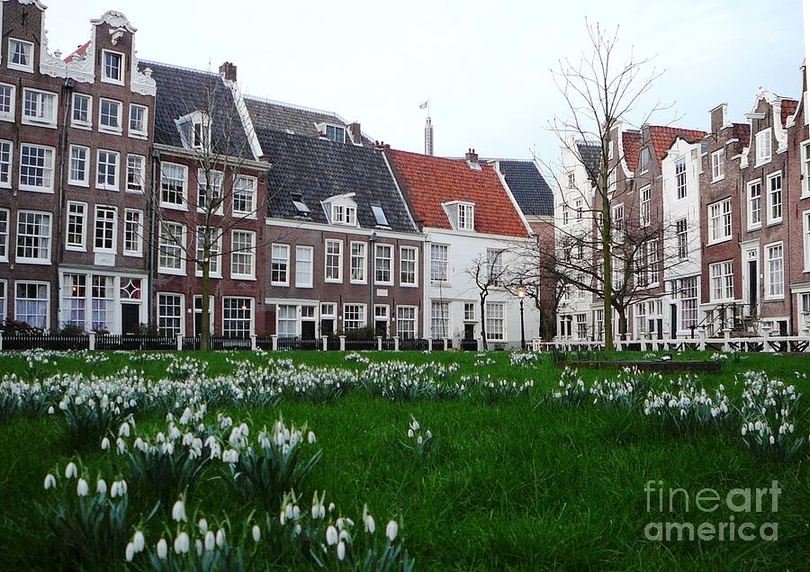 Spring in Amsterdam Photograph by Amalia Suruceanu