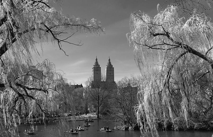 Spring in Central Park Photograph by Yelena Rozov