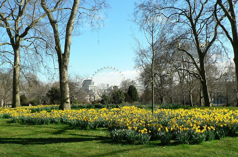 Spring in Hyde Park Photograph by Amalia Suruceanu Pixels