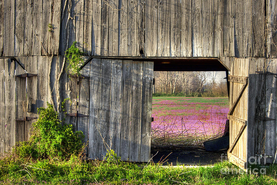 Horizontal Photograph - Spring In Kentucky by Larry Braun Horizontal Photograph - Spring In Kentucky by Larry Braun