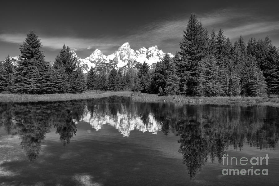 Grand Teton National Park Photograph - Spring in the Tetons by Sandra Bronstein