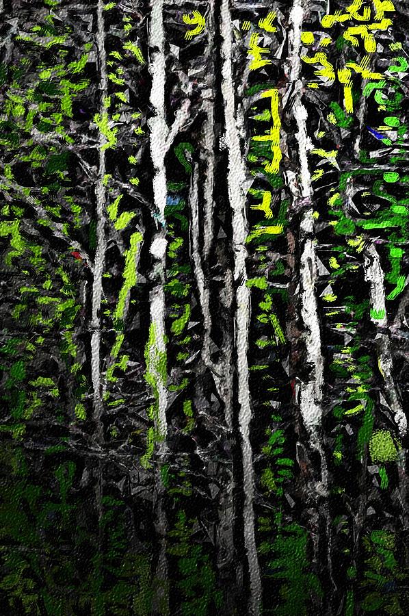 Spring in the Woods II Digital Art by David Lane
