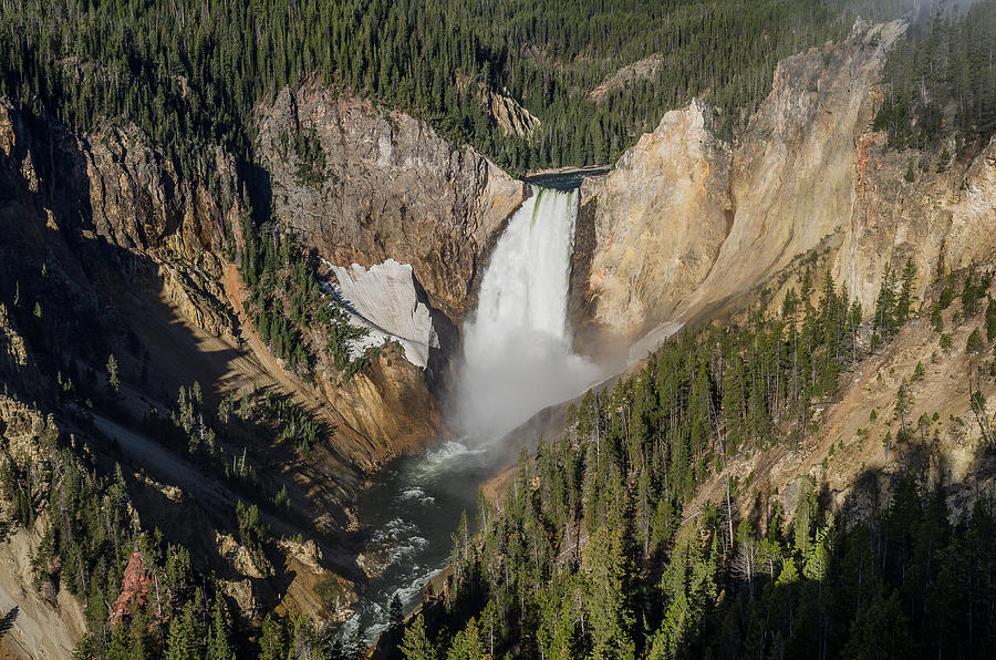 Yellowstone National Park Photograph - Spring Morning at Yellowstone Falls by Greg Nyquist