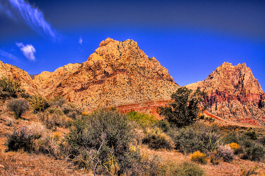 Spring Mountain Ranch in the Red Rock Canyon Photograph by David Patterson