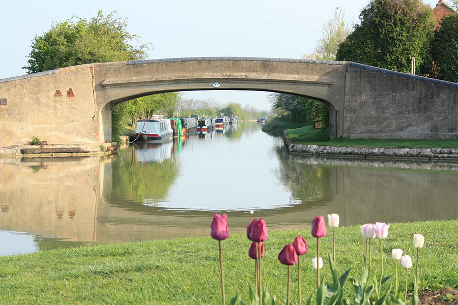 Spring on The Oxford Canal Photograph by Linsey Williams