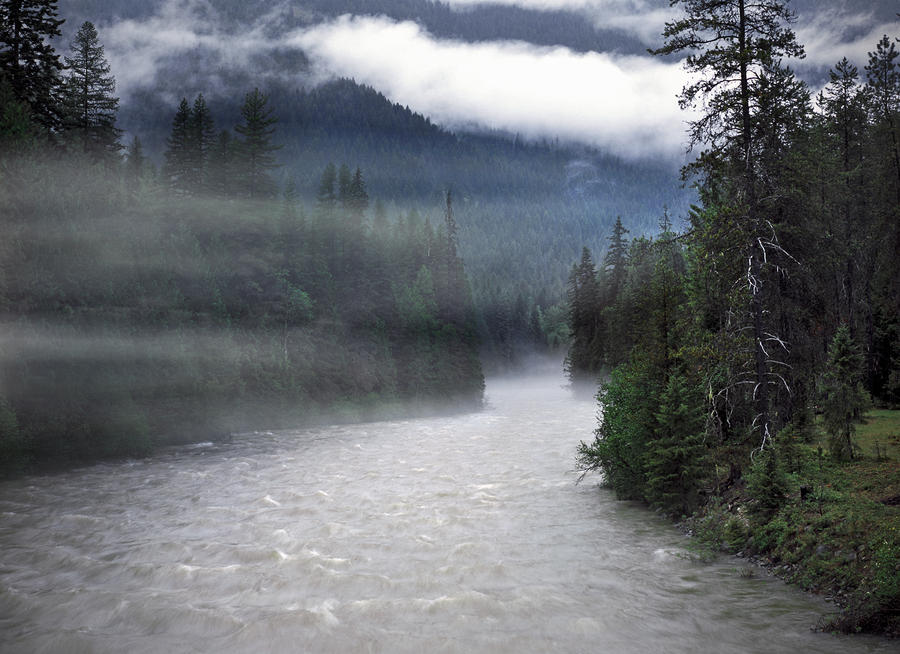 Spring Rain by Leland D Howard