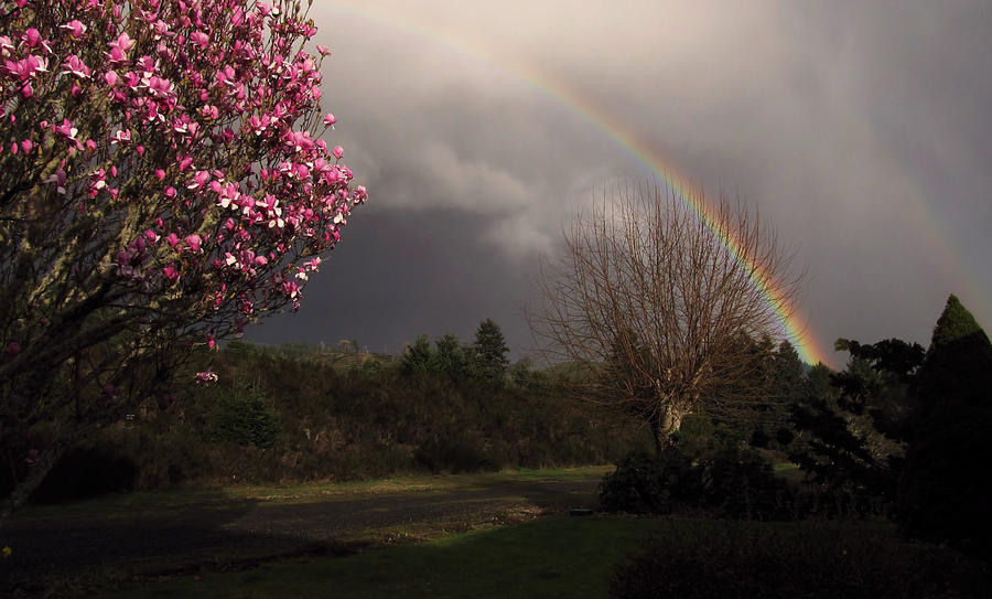 Spring Rainbow Photograph