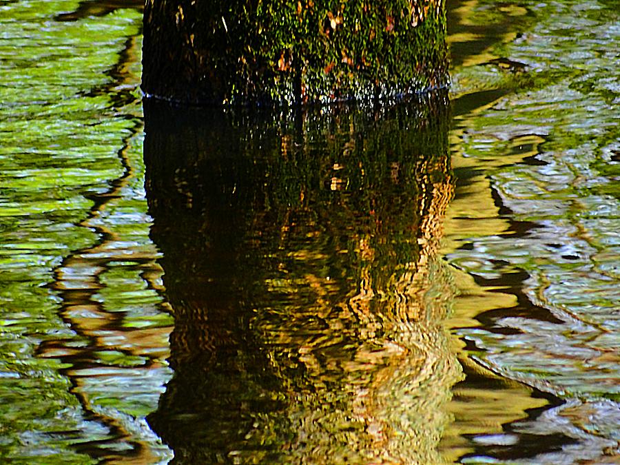 Spring Photograph - Spring Reflections by Beth Akerman