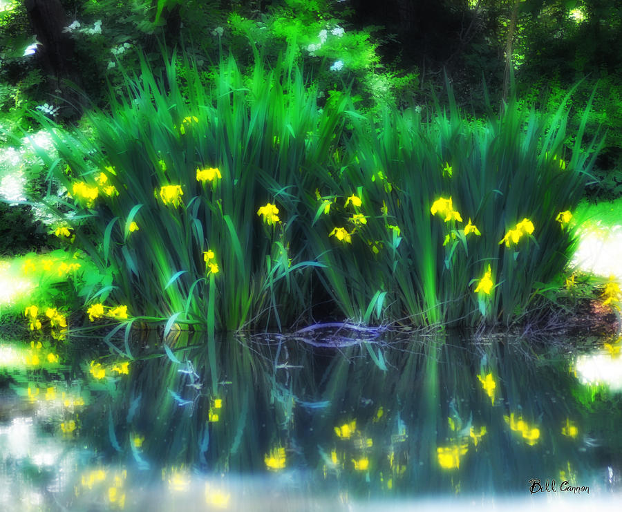 Spring Reflections Photograph by Bill Cannon