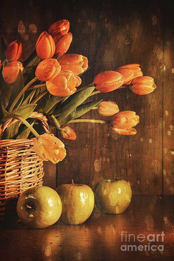 Spring tulips and with vintage feeling Photograph by Sandra Cunningham
