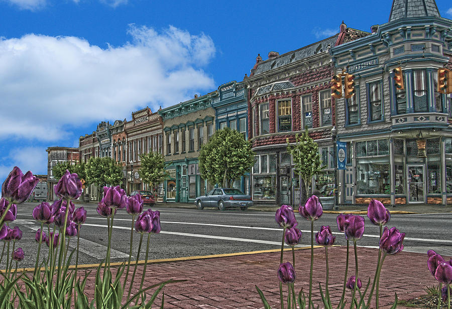 Spring Tulips Downtown Georgetown Photograph by Randall Branham