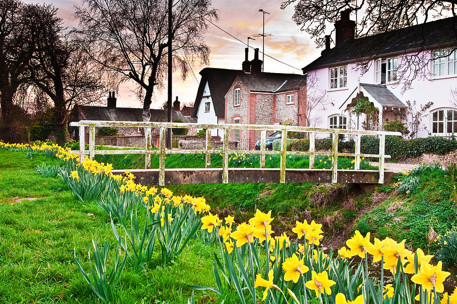 Flower Photograph - Spring Village by Tom Gowanlock