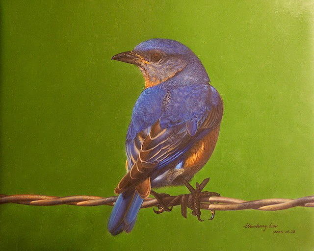 Bird Painting - Spring by Wanhong Lou