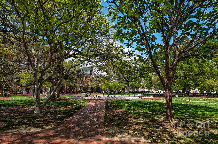 Brick Photograph - Springtime in Lafayette Square by Jim Moore