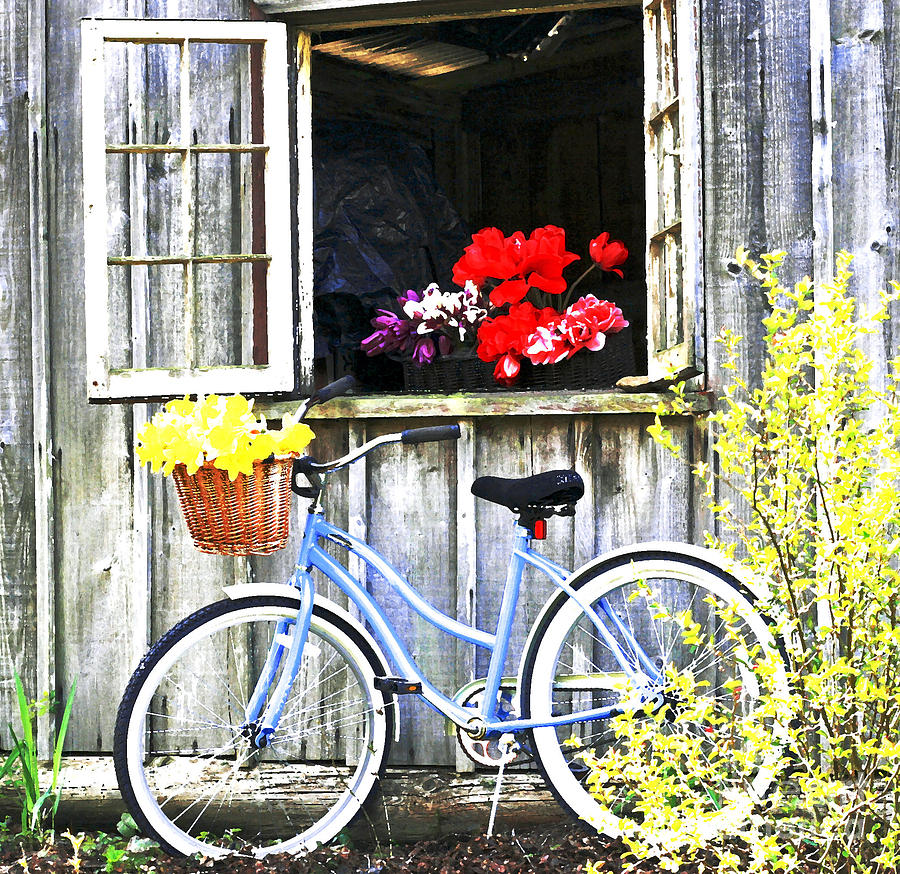 Springtime in Oregon Photograph by Margaret Hood