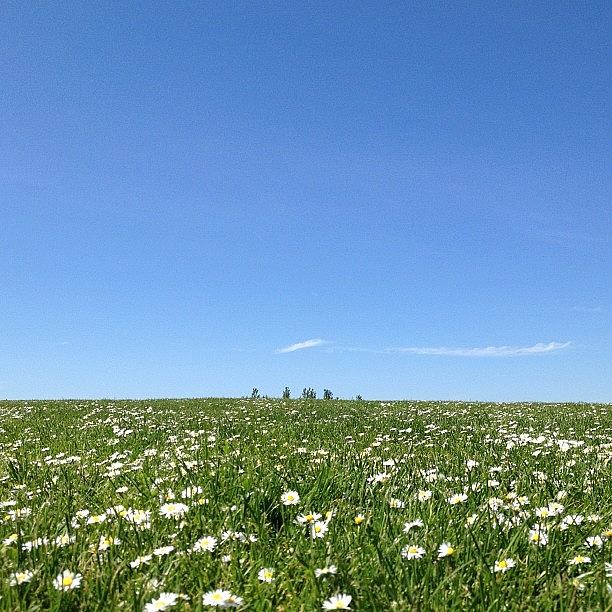 Springtime On Kite Hill #nofilter Photograph by Mike Martinez