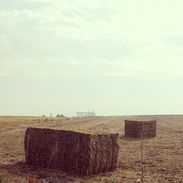 Nature Photograph - Square Bales Of Hay With Coop Grain Bin by Stephen Cooper