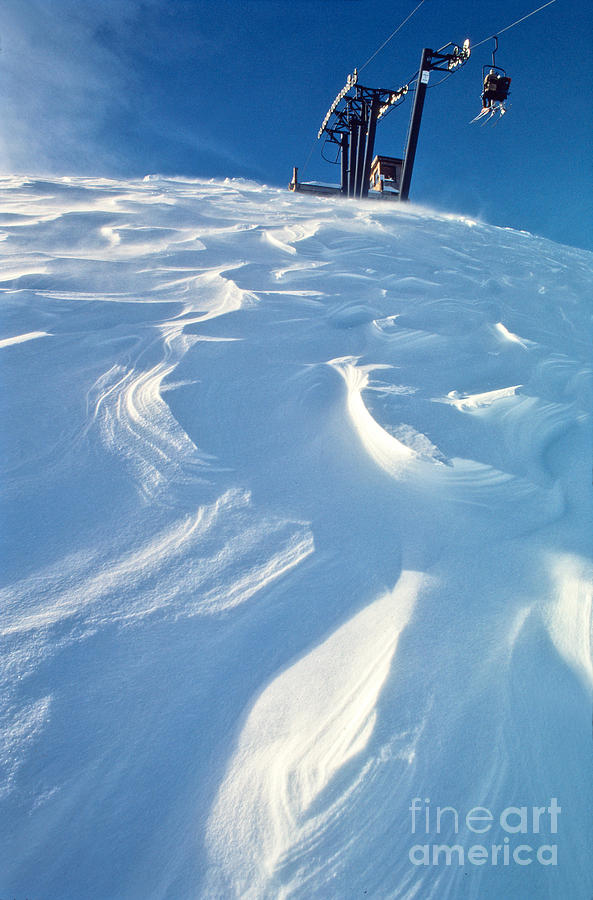 Ski Photograph - Squaw Windblown by Vance Fox