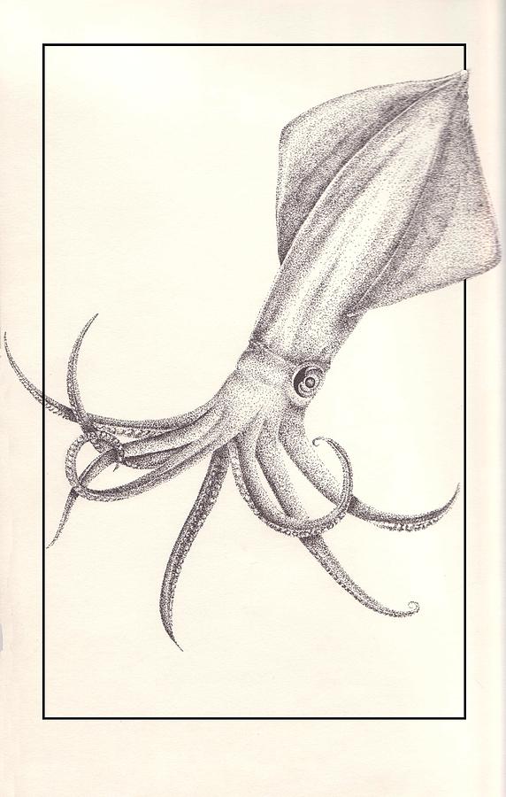 Ink Drawing - Squid by Arika Gloud
