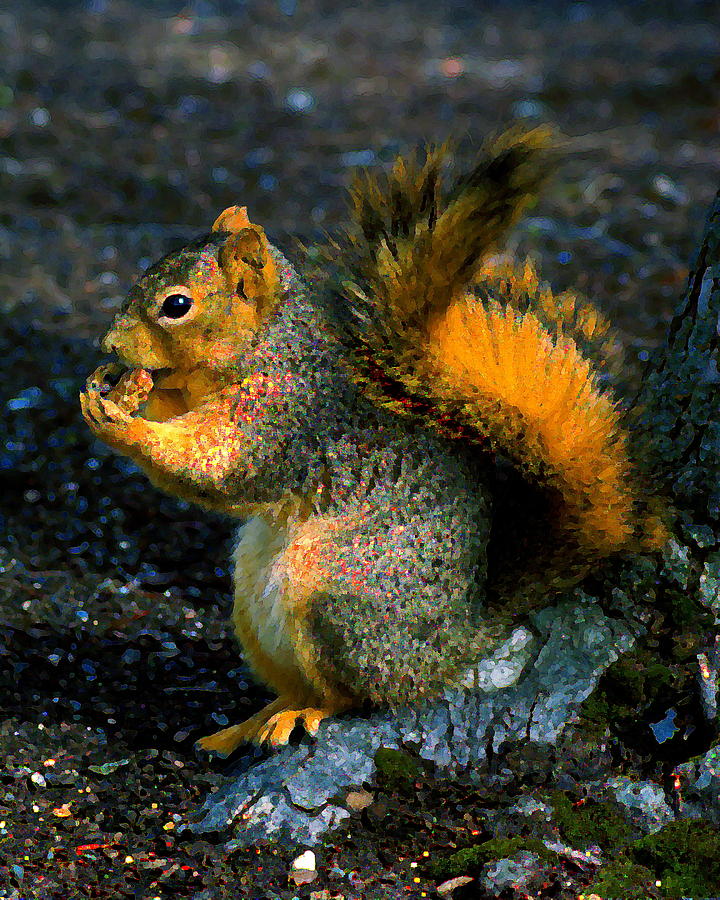 Squirrel at Riverfront Park Photograph by Ben Upham III