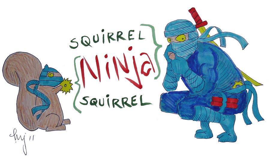 Squirrel Ninja Ninja Squirrel Drawing by Mike Jory