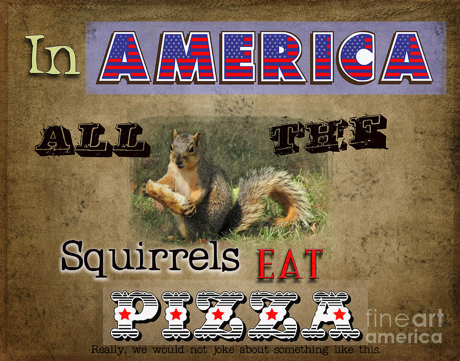 Squirrels in America Photograph by David Arment