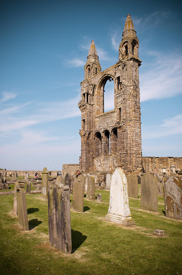 St Andrews Cathedral Photograph by Ray Devlin