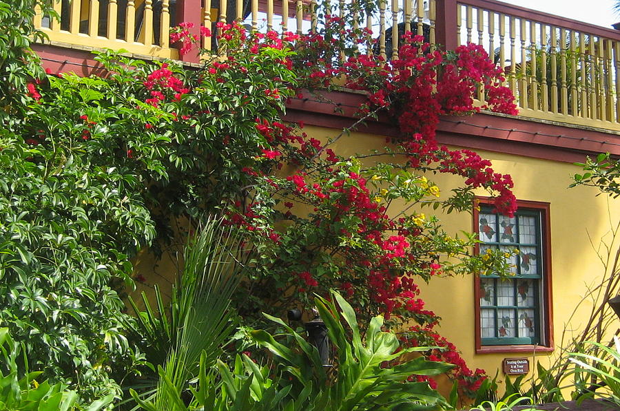 St. Augustine Window Photograph by Claire Pridgeon Fine Art America