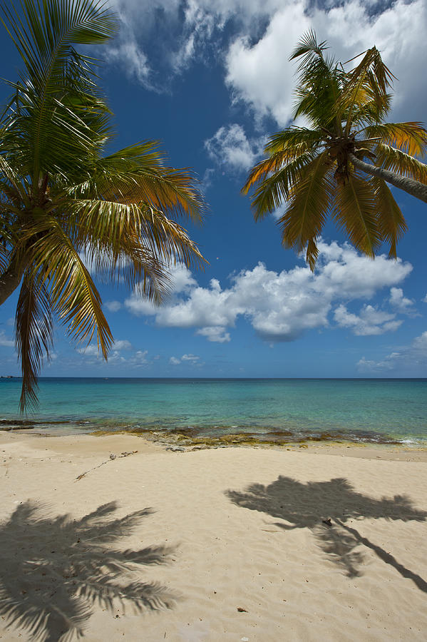 Beach Scene In The St Croix Photograph