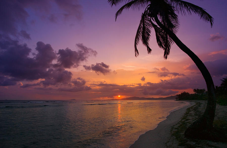 St. Croix sunrise Photograph by Gary Felton
