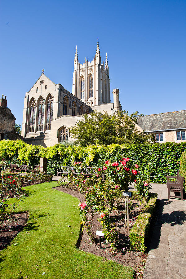 Architecture Photograph - St Edmundsbury Cathedral by Tom Gowanlock