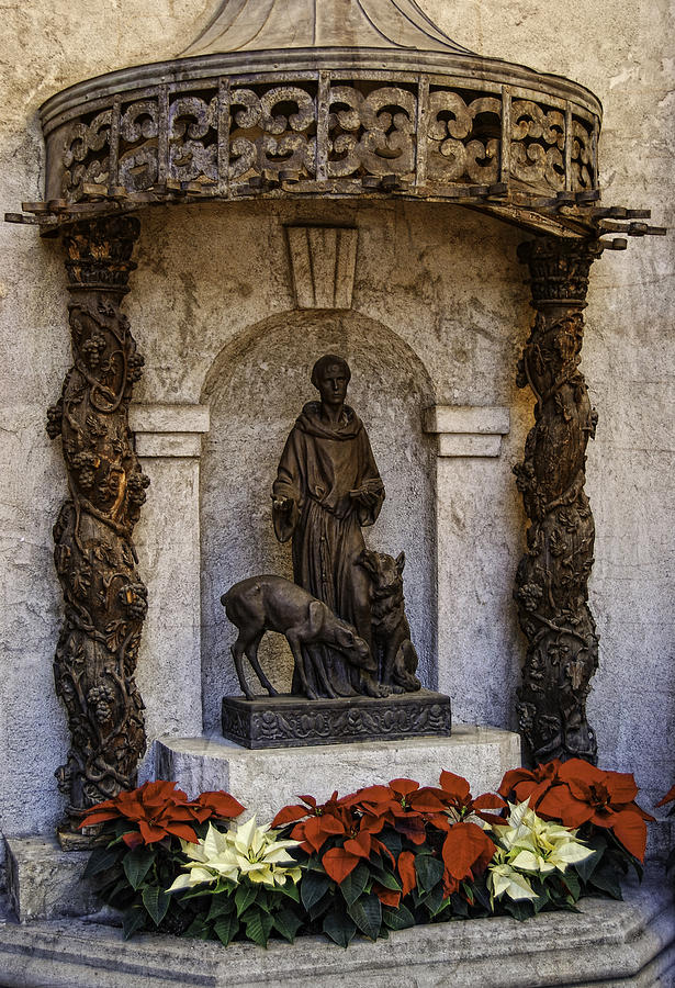 St. Francis of Assisi Photograph by Sandra Selle Rodriguez