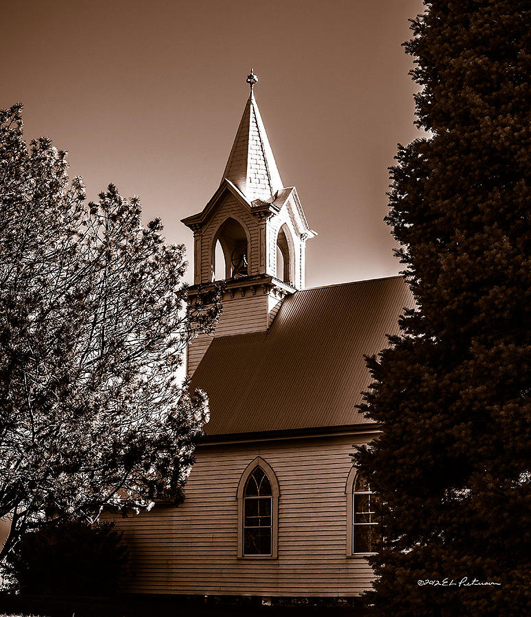 St. Johns Lutheran Church In The Trees Photograph by Ed Peterson