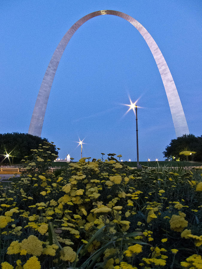 St Louis Arch with Twinkles Photograph by Nancy De Flon