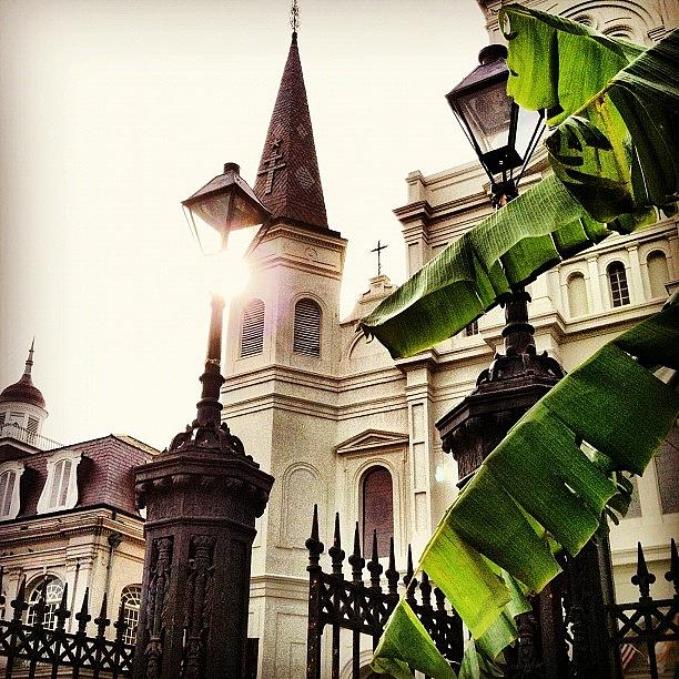 New Orleans Photograph - St. Louis Cathedral  by Caitlyn Stykowski