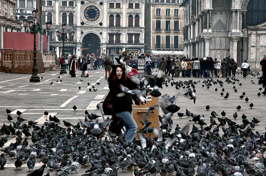 St Mark's Square. Pigeon Attack. Venice Photograph by Juan Carlos Ferro  Duque - Pixels