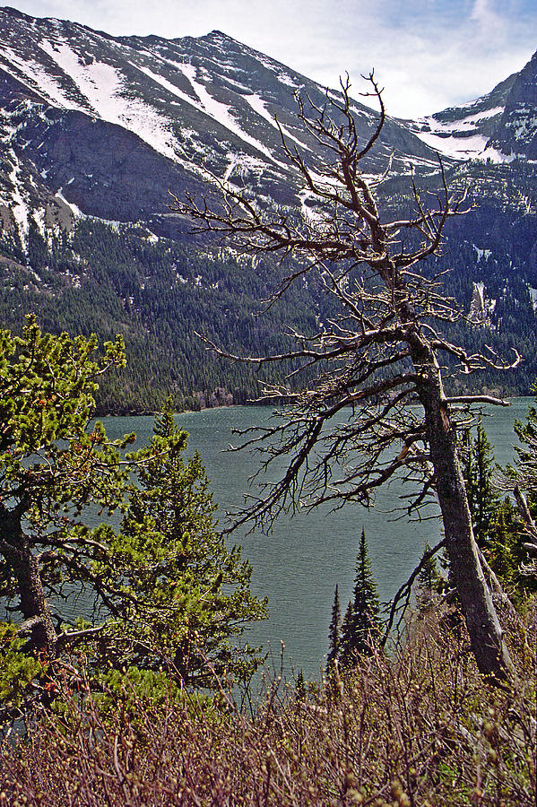 St Mary Lake - Glacier NP 3 Photograph by Rod Jones