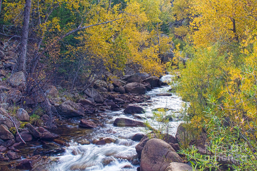 St Vrain Canyon and River Autumn Season Boulder County Colorado Photograph by James BO Insogna