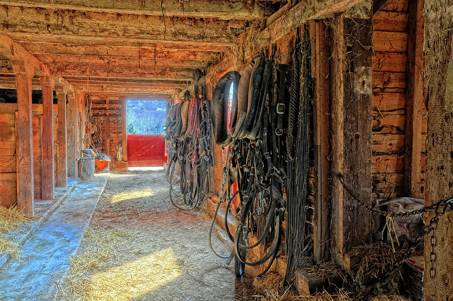 Stables Photograph by Dave Mills