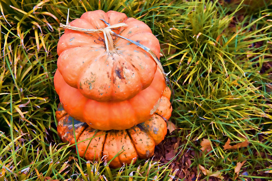 Fall Photograph - Stack of Pumpkins II by Malania Hammer