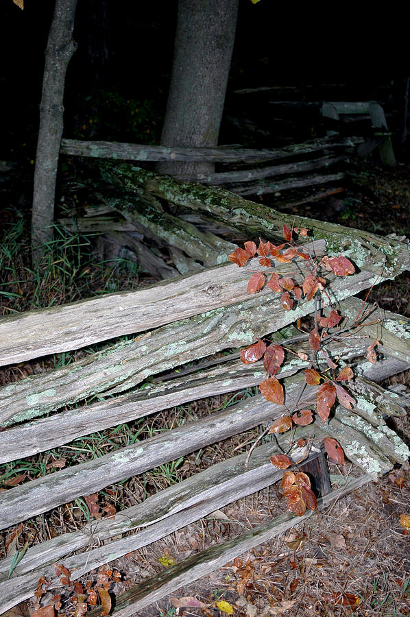 stacked Fence Photograph by LeeAnn McLaneGoetz McLaneGoetzStudioLLCcom